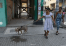 El Tiempo en La Habana para el 15-21 de mayo